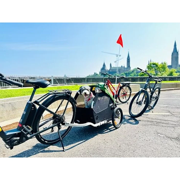 Burley Design Tail Wagon Dog Carrier, Fahrradanhänger für Hunde bis 34 kg, schwarz-grün, mit geräumigem Innenraum und stabilen Rädern – Bild 2