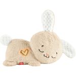 Fisher-Price Spieluhr für Babys Soothe & Settle Bunny tragbares Plüschspielzeug mit Musik, Licht und Bewegung für Neugeborene, HXG97