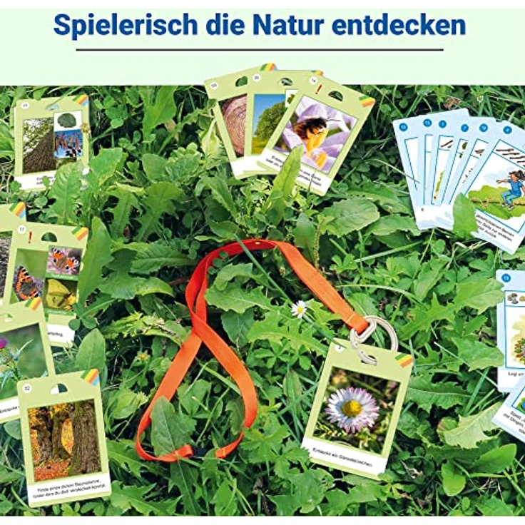 Ravensburger 25033 - Natur-Entdecker - Lernspiel für Kinder, Outdoor Spiel für Kinder von 6-10 Jahren, für 1-6 Spieler, Naturspiel, Bewegungsspiel, Tiere und Pflanzen – Bild 3