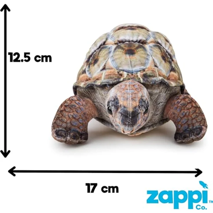 Zappi Co Aldabra-Riesenschildkröte Plüschtier, 26 cm realistisch, weich und langlebig, für kinderfreundliches Spiel und pädagogische Unterhaltung – Bild 3