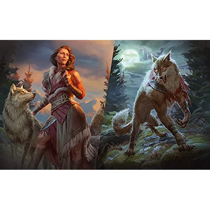 Wizards of the Coast Innistrad: Midnight Hunt Collector Booster Pack - English, Gothic horror-themed mechanics, Only MID boosters with Extended-Art cards, Total of 10 traditional foils per pack – Bild 6