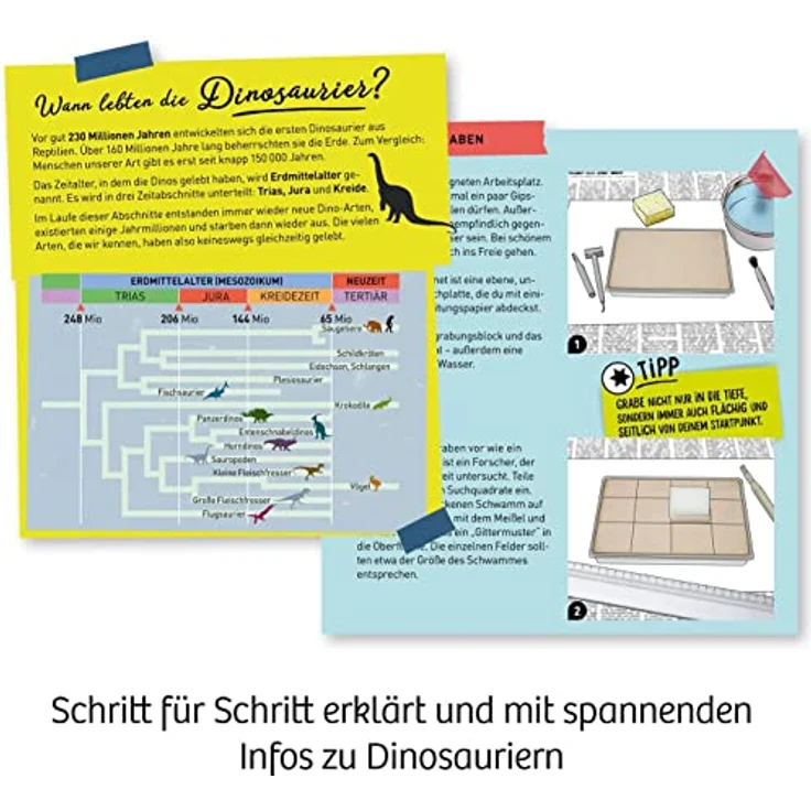 Kosmos Mitbringexperimentierkasten Nachtleuchtender Flugsaurier – Bild 4