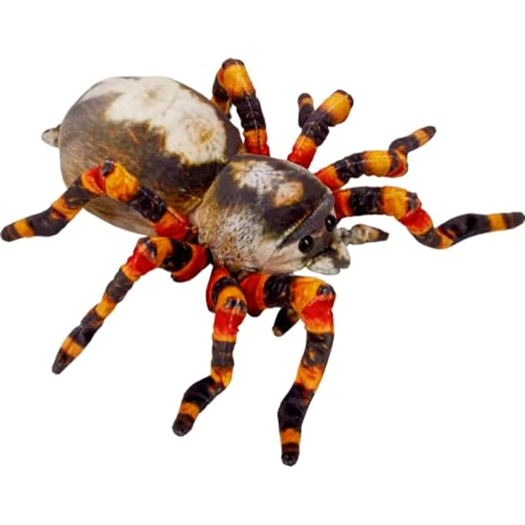 Coppenrath Verlag Spinne - Nature Zoom Wild, 37 cm groß, authentisches Erlebnis in lebensechten Farben