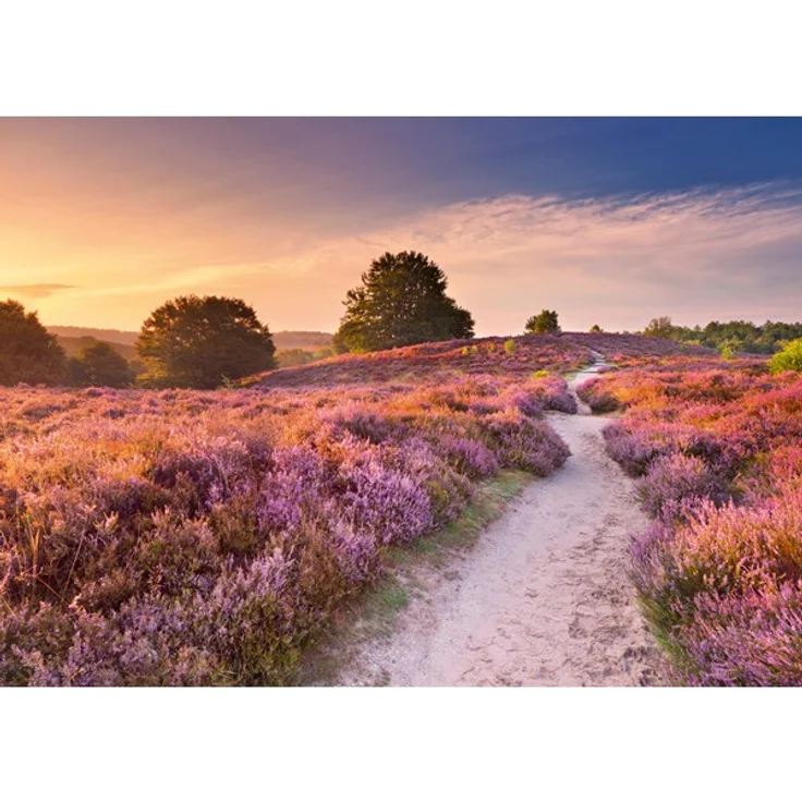 Ravensburger Pink Pathway, 1000 Teile Puzzle für Erwachsene mit perfekter Passform – Bild 7