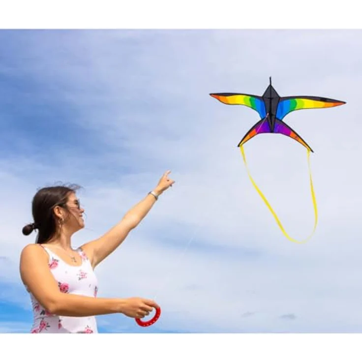 HQ HIGH QUALITY DESIGN 106523 - Swallow Kite Rainbow Kinderdrachen, Einleiner, ab 8 Jahren, 120x80cm, inkl. 17kp Polyesterschnur 40m auf Spule, 2-5 Beaufort – Bild 5