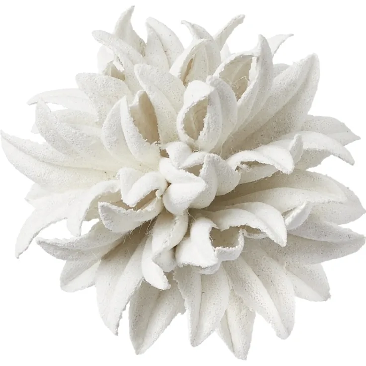FLORELLA-Blte II 35 mm, weiss, Btl. 2 St.