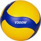 Volleybälle