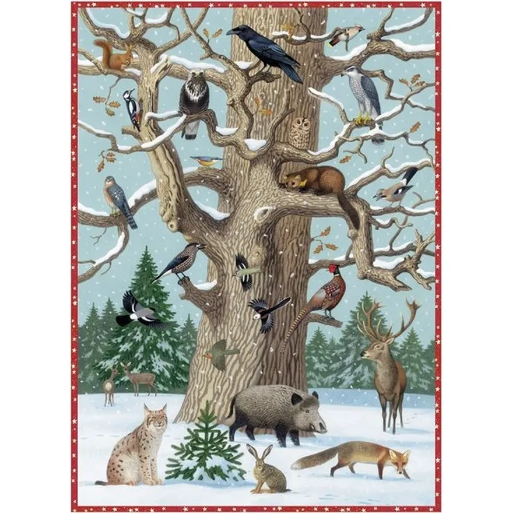 Adventskalender Tiere im Winter - COPPENRATH 70003 - Preisvergleich