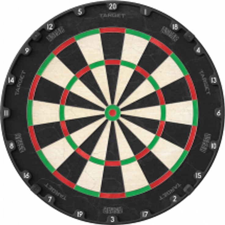 Target Aspar Steeldartboard