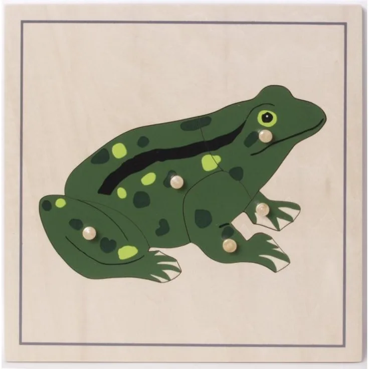 Montessori Puzzle Frosch, Tierpuzzle aus Holz, Lernspielzeug, NEU