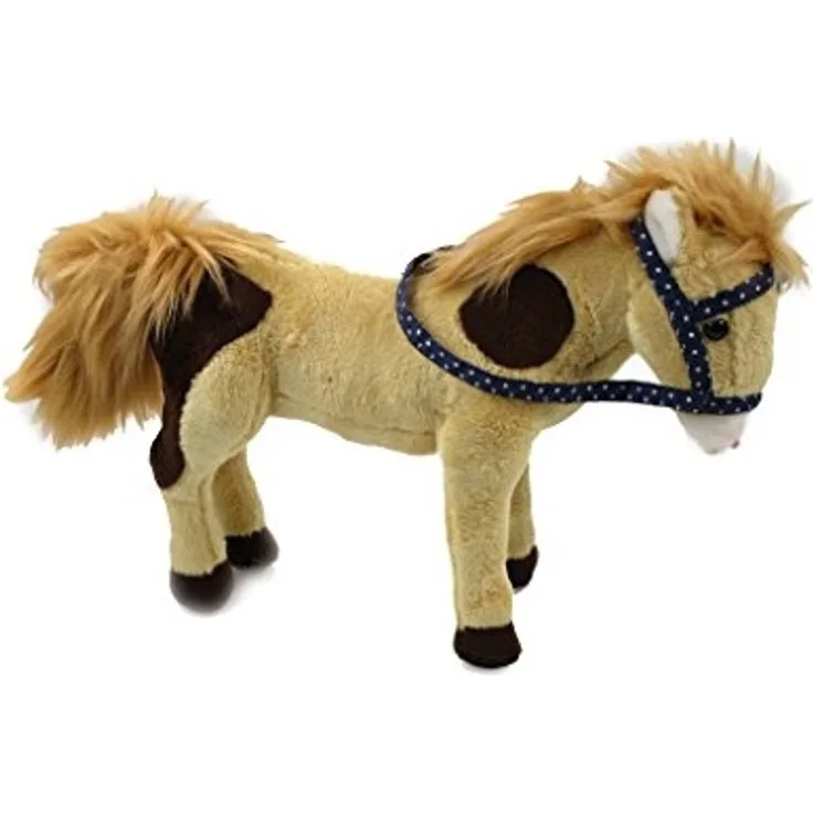 Pferd Amigo Pferdefreunde