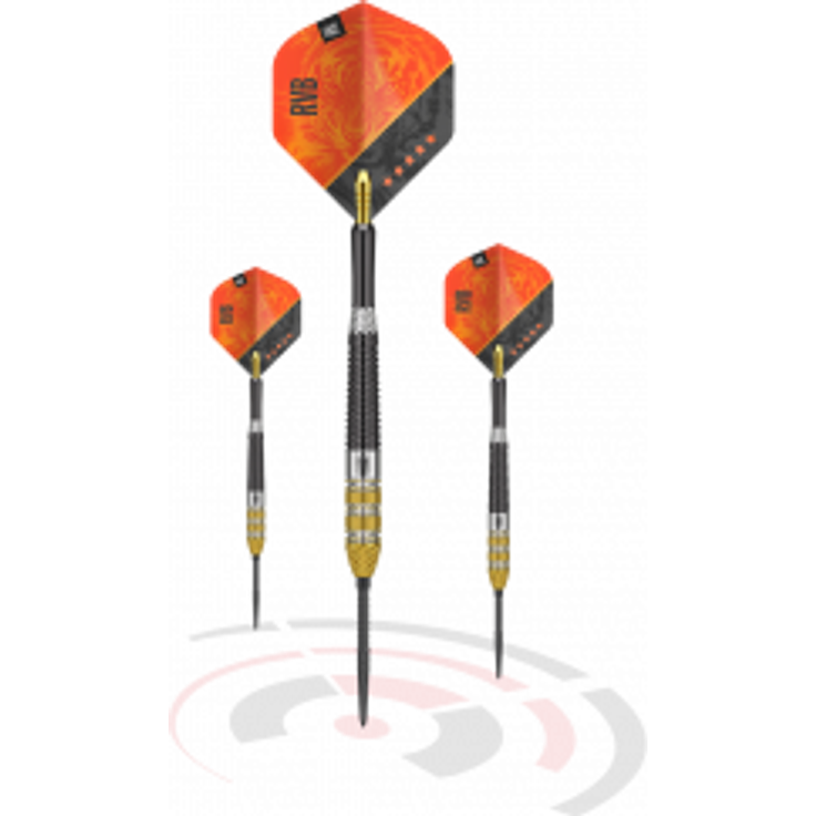 Target Raymond Van Barneveld RVB95 GEN4 Swiss Point Steeldarts
