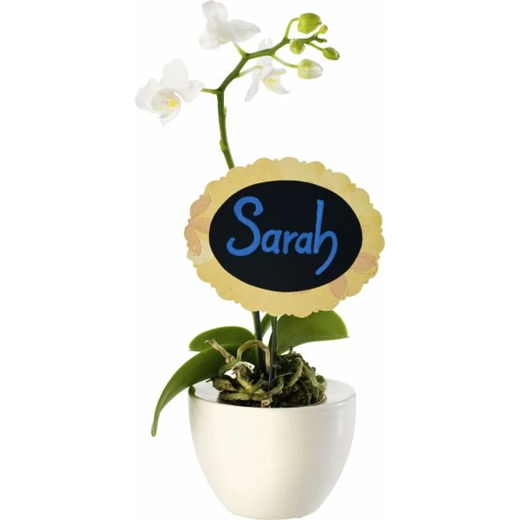 folia Kreidemarker 5er Fresh Colours – Bild 4