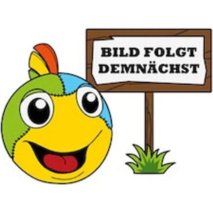 Schleudersegler Spatz24x20cm