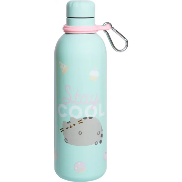 trinkflasche Pusheen 500 ml 7 x 25 cm RVS hellblau