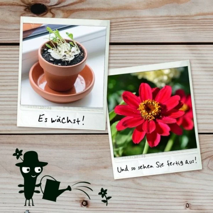 Bastelbox Blühendes Papier – Bild 10