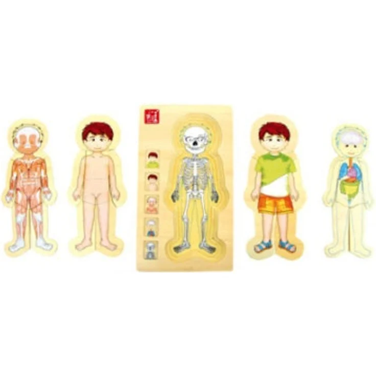 small foot - Anatomie - Tim