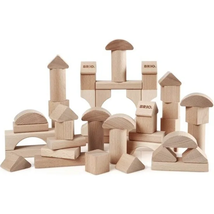 Brio 50 Building Blocks