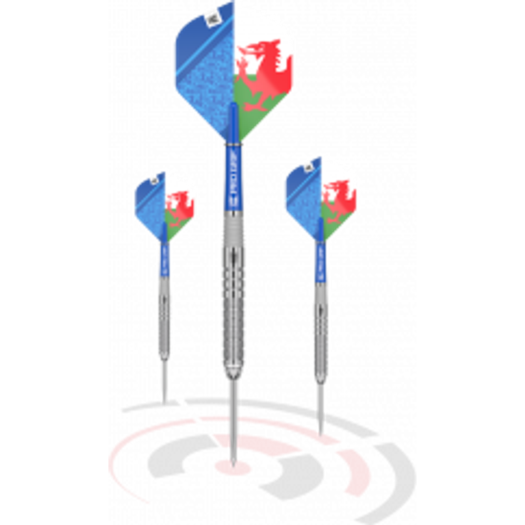 Target Lewy Williams GEN1 Steeldarts