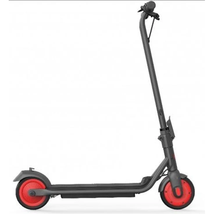 Electric scooter Segway Segway Ninebot Zing C20 Electric scooter - Preisvergleich – Bild 1