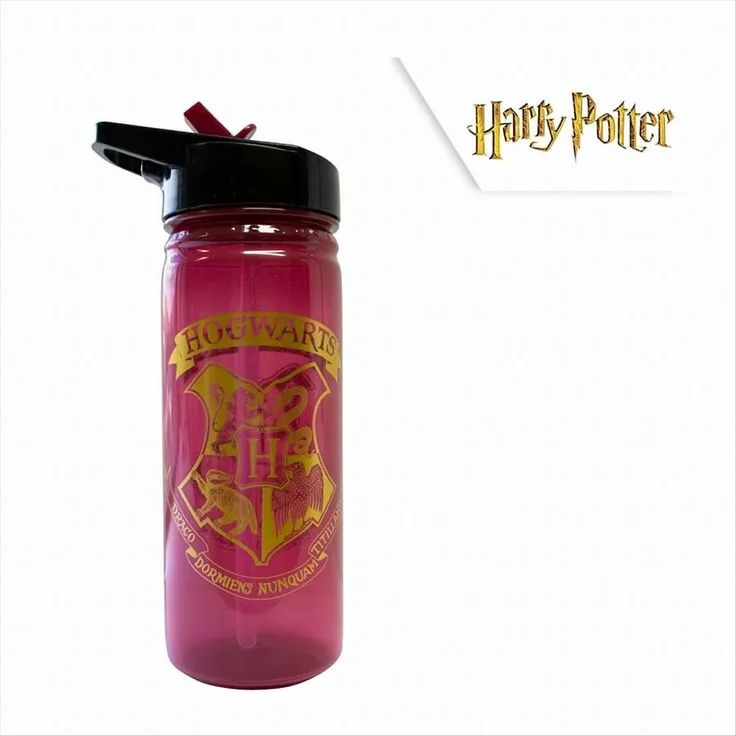 Trinkflasche PET [600ml] - Hogwarts