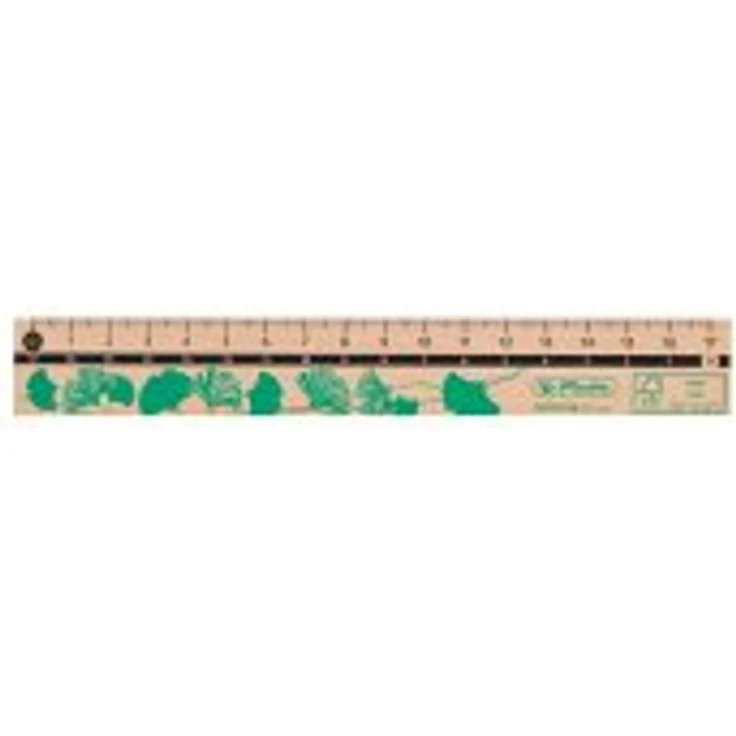Herlitz Lineal 17cm GREENline aus Holz sortiert, 1 Stück - Preisvergleich – Bild 1