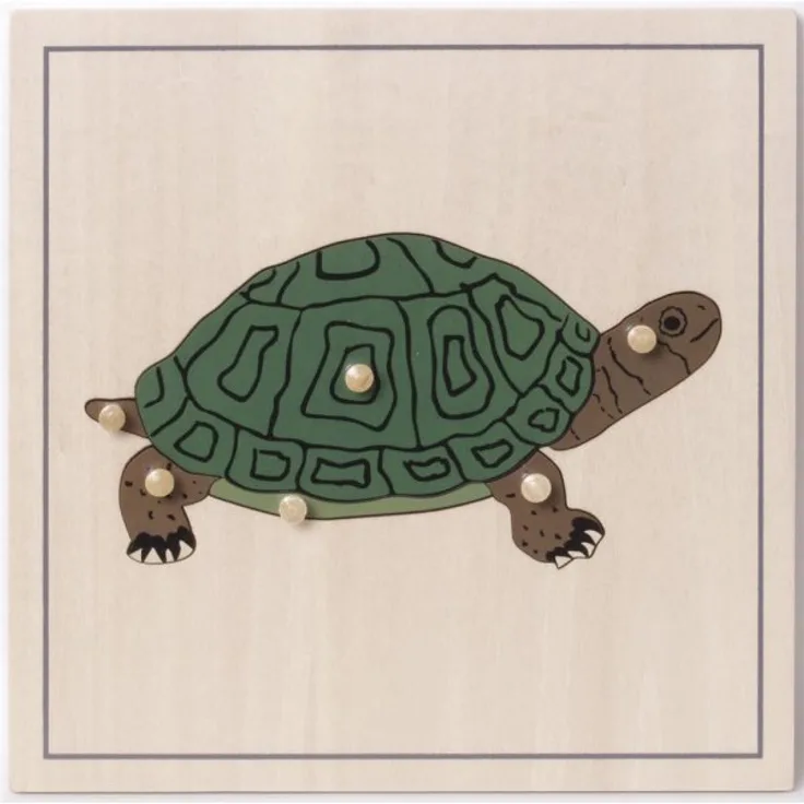 Puzzle Schildkröte