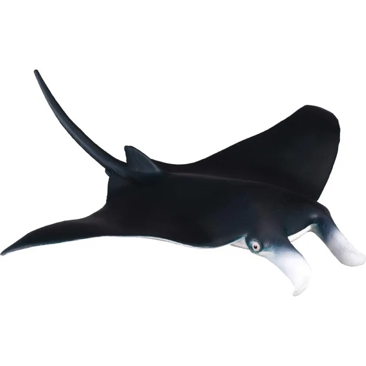 Collecta – 3388040 – Figur – Meerestiere – Manta Ranken