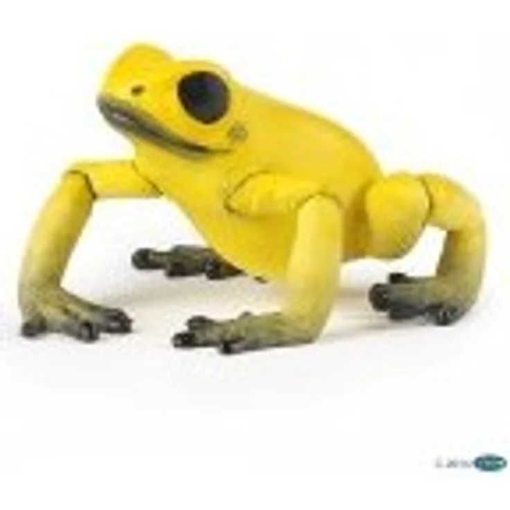 Gelber Äquatorialfrosch - Preisvergleich – Bild 1