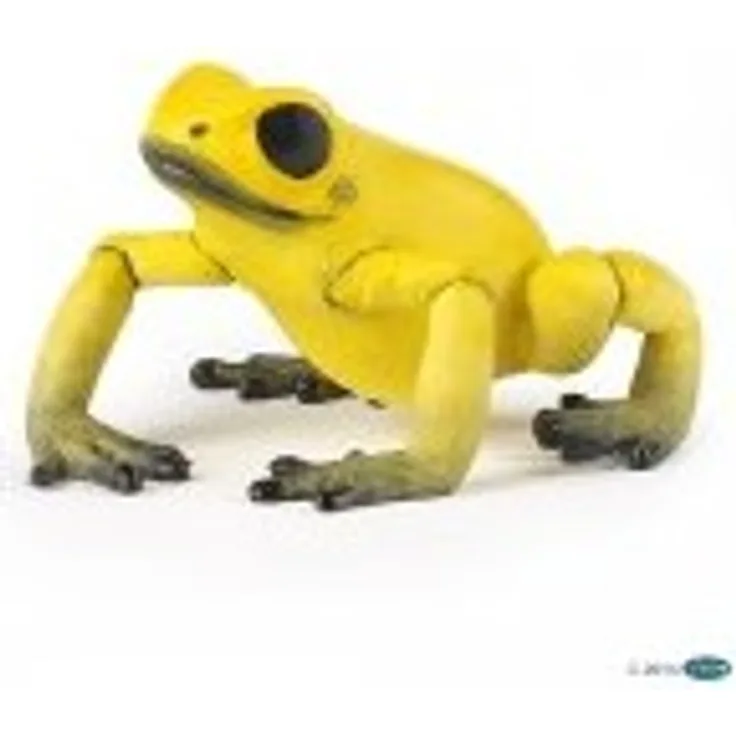 Gelber Äquatorialfrosch - Preisvergleich