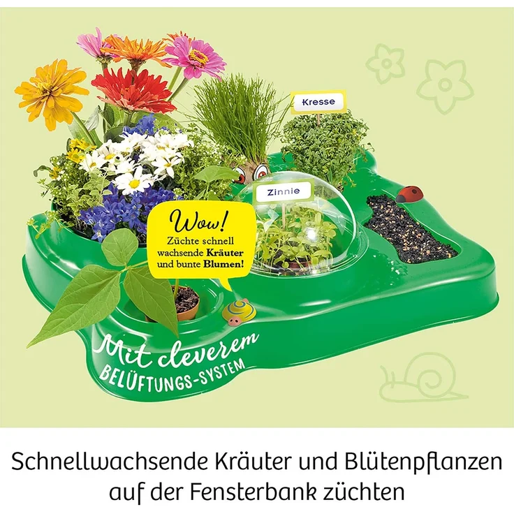 Kosmos 632083 Mein erstes Gewächshaus, Das Original, Erstes Gärtnern für Kinder ab 5 Jahre, Komplett-Set mit Samen, Erde usw. Experimentierkasten zu Garten, Pflanzen, Blumen, Biologie – Bild 4