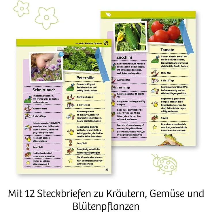 Kosmos 632083 Mein erstes Gewächshaus, Das Original, Erstes Gärtnern für Kinder ab 5 Jahre, Komplett-Set mit Samen, Erde usw. Experimentierkasten zu Garten, Pflanzen, Blumen, Biologie – Bild 8