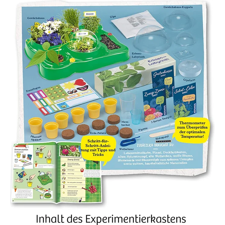 Kosmos 632083 Mein erstes Gewächshaus, Das Original, Erstes Gärtnern für Kinder ab 5 Jahre, Komplett-Set mit Samen, Erde usw. Experimentierkasten zu Garten, Pflanzen, Blumen, Biologie – Bild 3