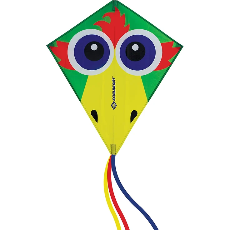 Classic Kite 70, Design: CrazyBird – Bild 1