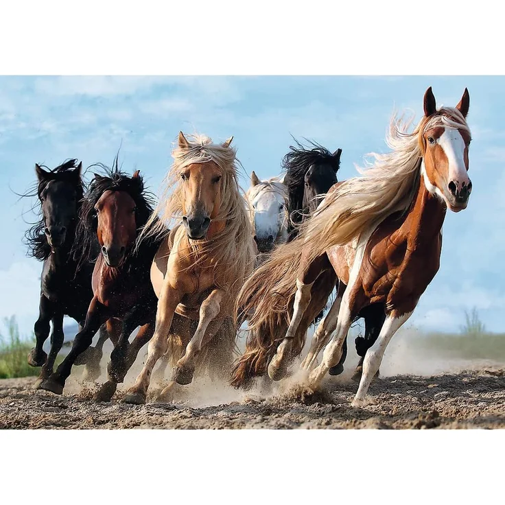 Puzzles - "1000" - Galloping horses – Bild 2