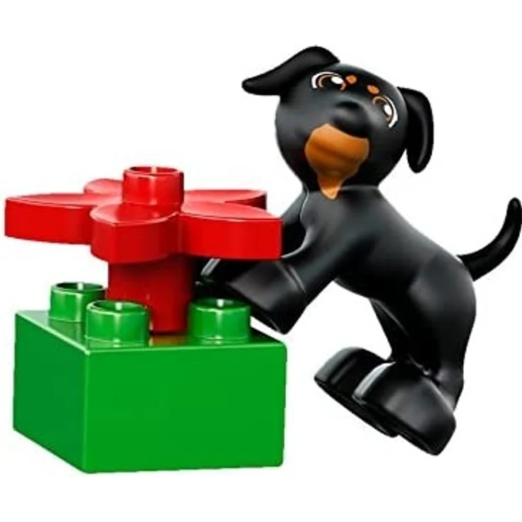 LEGO 10572 DUPLO Große Steinebox, Kreatives Lernspielzeug - Preisvergleich – Bild 12