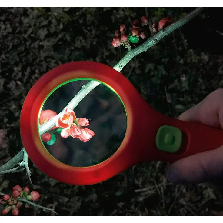 moses. 16124 Krabbelkäfer Lichtlupe | Lupe mit Licht für Kinder ab 3 Jahren | Mit 3 LEDs, Rot und Grün – Bild 3