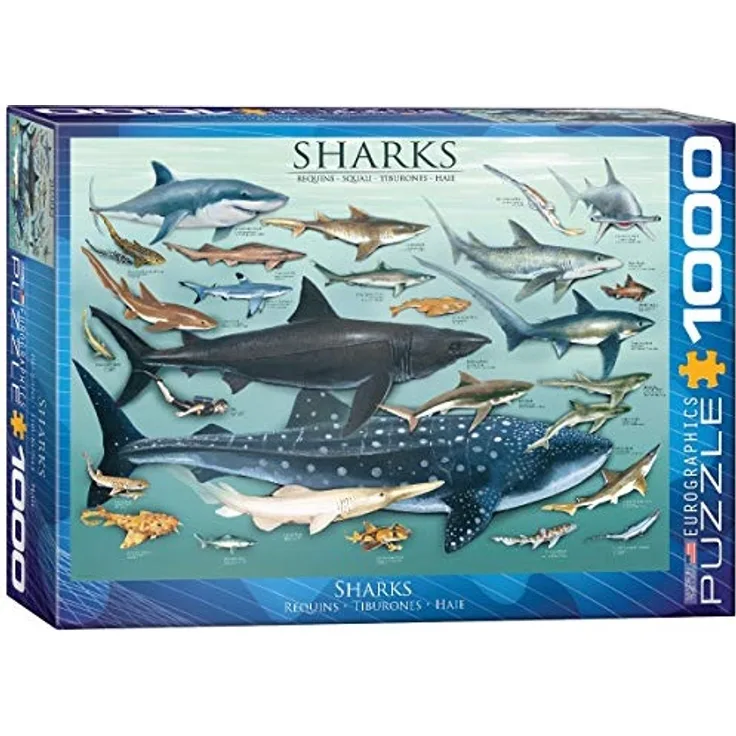 Eurographics Puzzle Haie (1000 Teile)