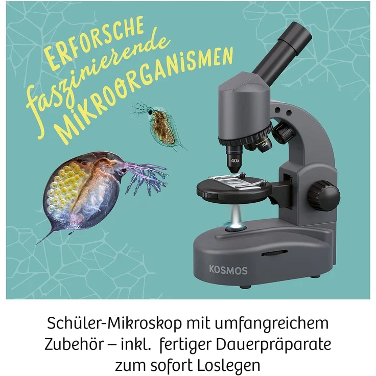Kosmos 636098 Mikroskop Experimentierkasten für Kinder, Grey – Bild 3