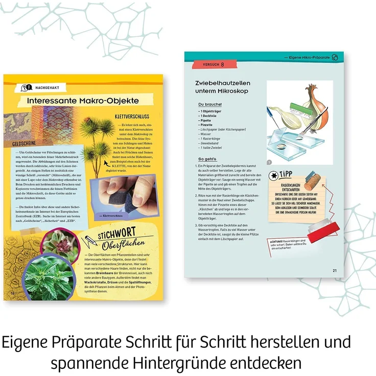 Kosmos 636098 Mikroskop Experimentierkasten für Kinder, Grey – Bild 5