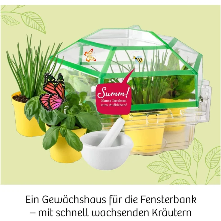 KOSMOS 632090 - Kräuter-Garten, Züchte duftende Kräuter auf der Fensterbank, Mit Gewächshaus und Mörser aus Porzellan, Experimentierkasten für Kinder ab 6 Jahre – Bild 3