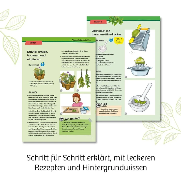 KOSMOS 632090 - Kräuter-Garten, Züchte duftende Kräuter auf der Fensterbank, Mit Gewächshaus und Mörser aus Porzellan, Experimentierkasten für Kinder ab 6 Jahre – Bild 5