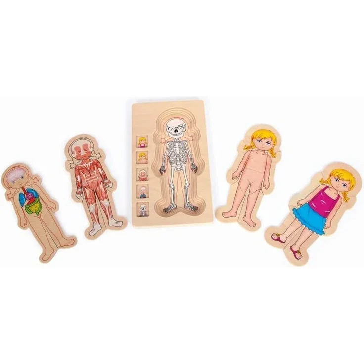 small foot 5814 Puzzle 'Anatomie Mädchen' aus Holz, lehrreiches Puzzle, 29-tlg. mit fünf Lagen, ab 3 Jahren – Bild 6