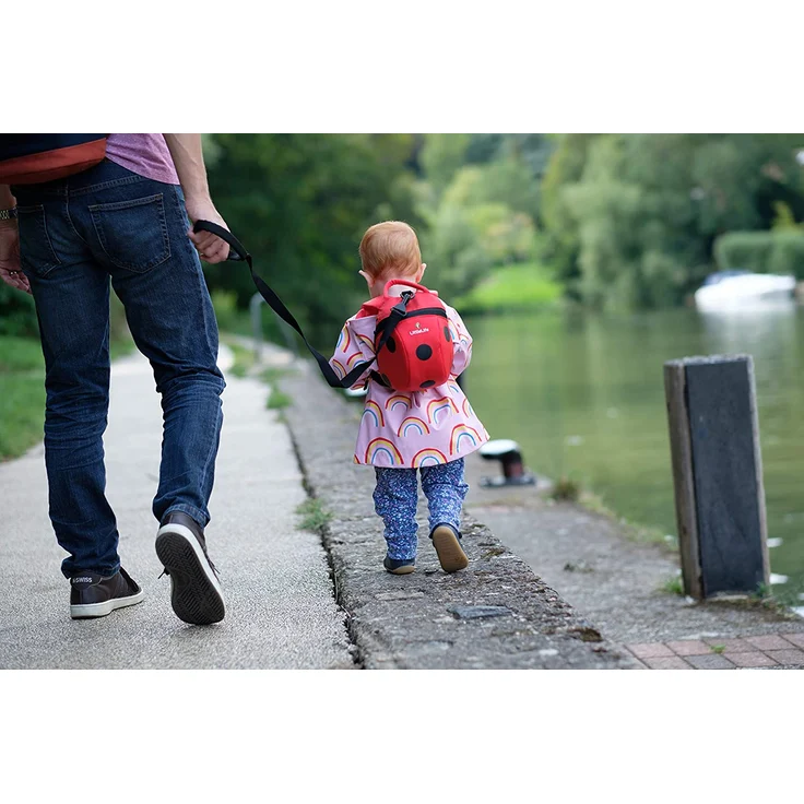 LittleLife Kleinkinder Rucksack Marienkäfer daysack Ladybird – Bild 5