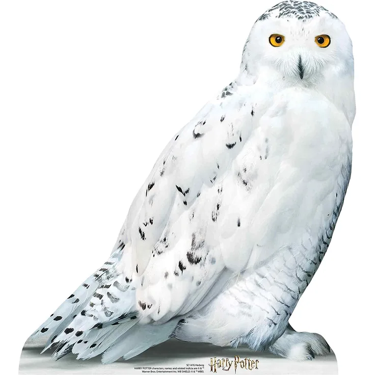 Harry Potter Pappaufsteller (Stand Up) - Eule Hedwig (74 cm)