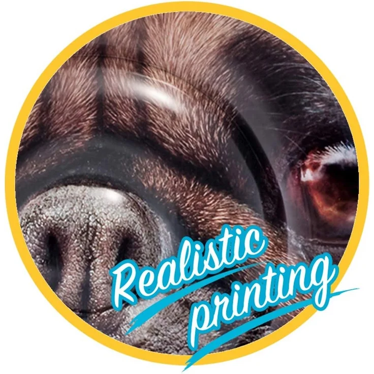 Badeinsel Mops – Bild 4