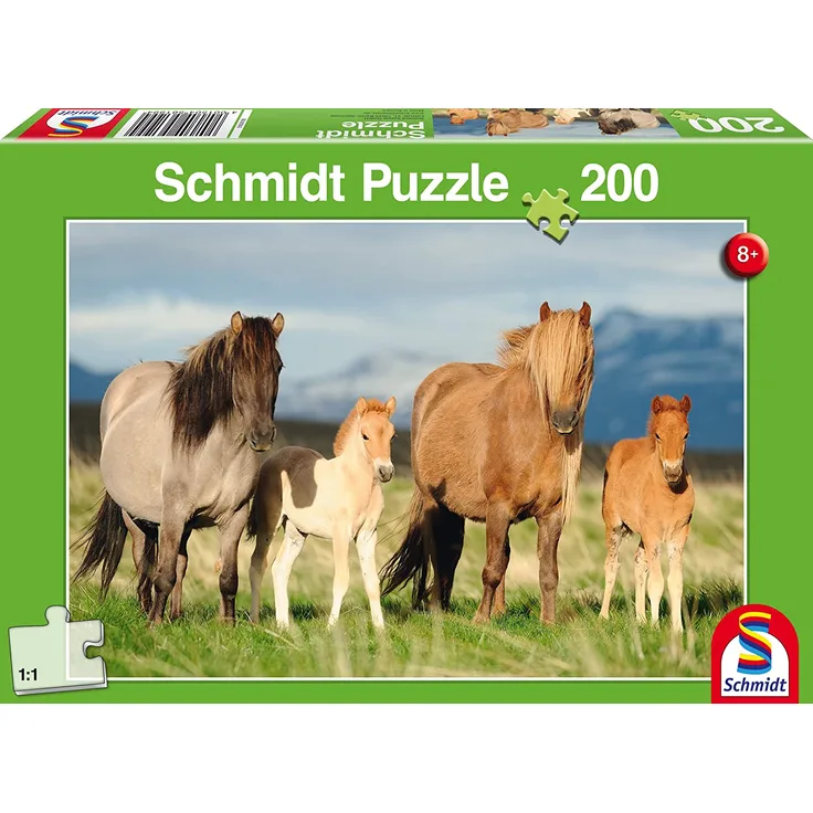Schmidt Spiele 56199, grün