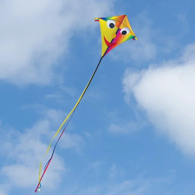 CIM Großer Kinder-Drachen - SUPER Drachen Happy Eddy Joker XL - Einleiner Flugdrachen für Kinder ab 6 Jahren - 90x98cm - inklusiv 80m Drachenschnur und Streifenschwänze - Preisvergleich – Bild 3