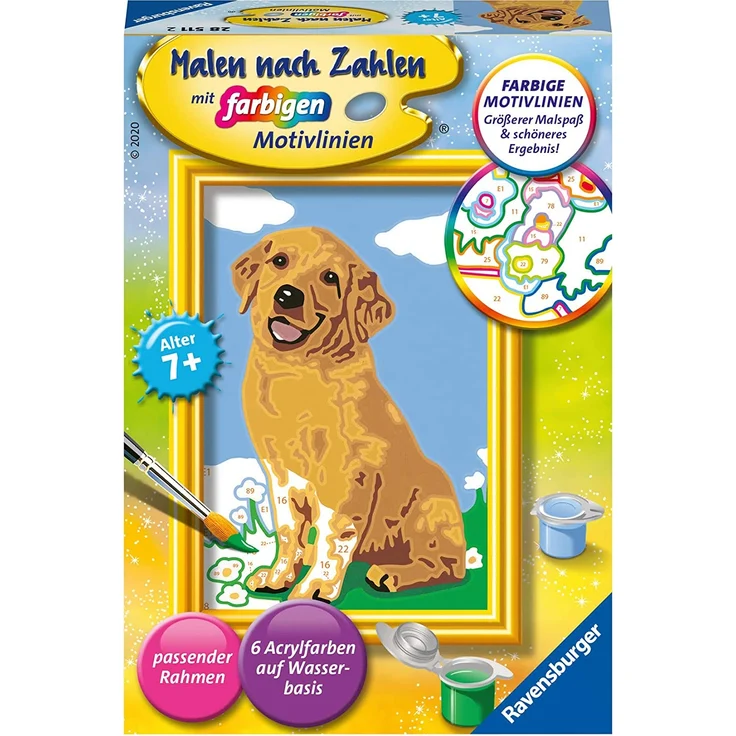 Ravensburger Malen nach Zahlen Kleiner Golden Retriever – Bild 1