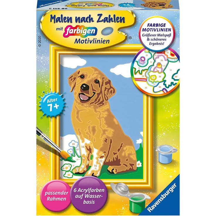 Ravensburger Malen nach Zahlen Kleiner Golden Retriever